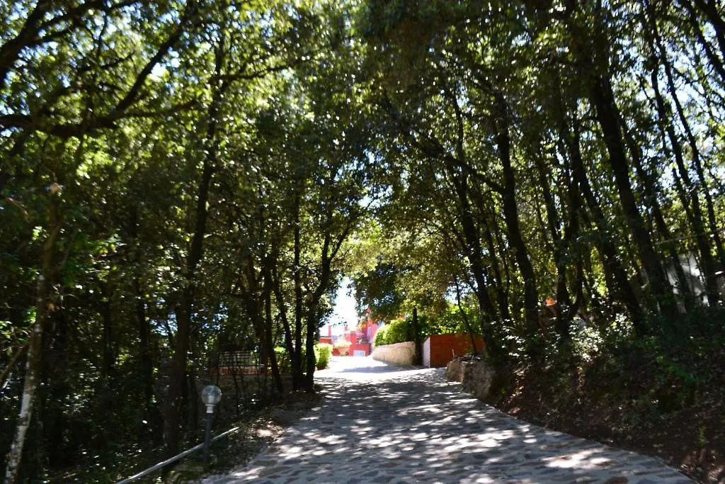 B&B Spring Perugia Bed & Breakfast